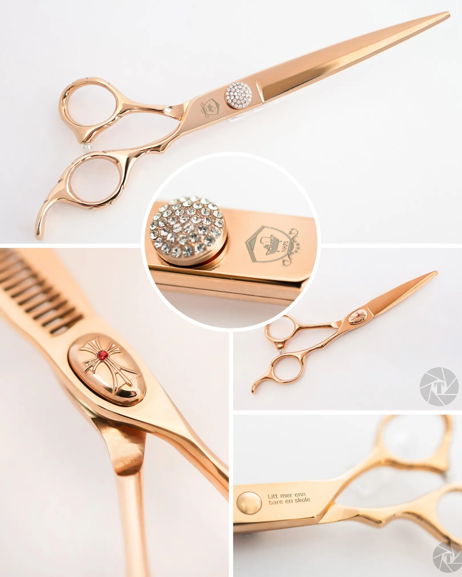 Saksespesialisten bilde